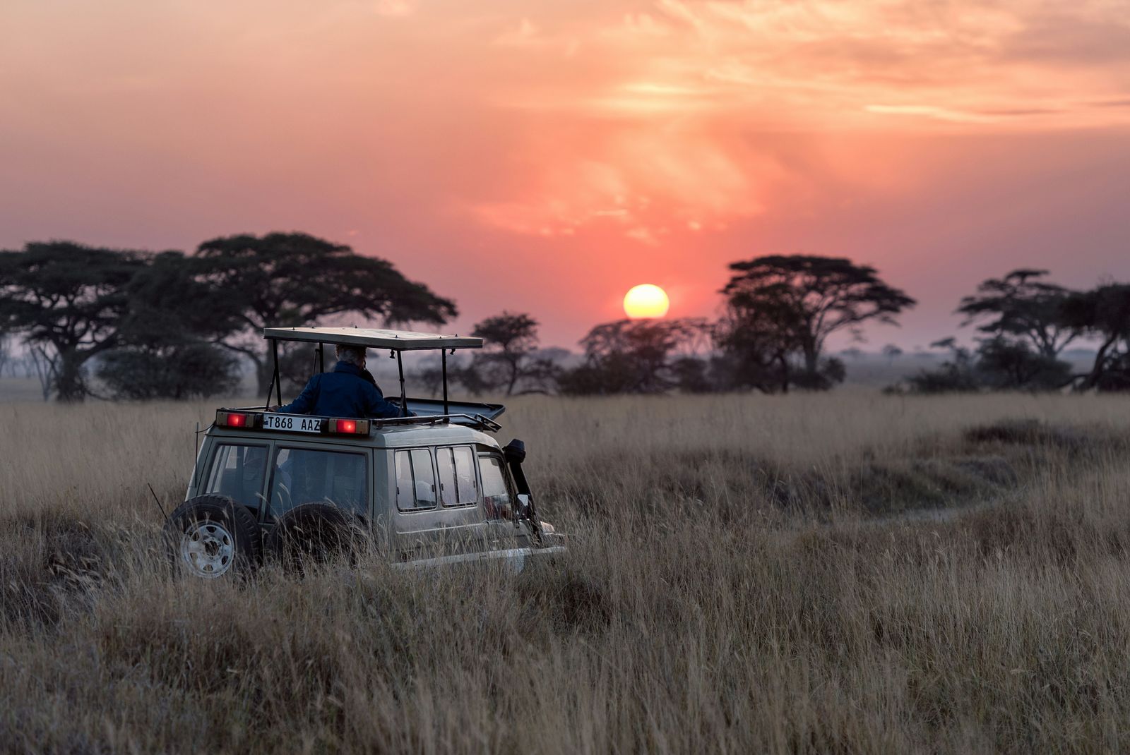 Coucher de soleil sur la savane, Tanzanie